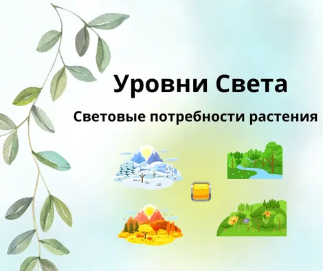 Блог магазина