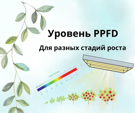 Уровни PPFD