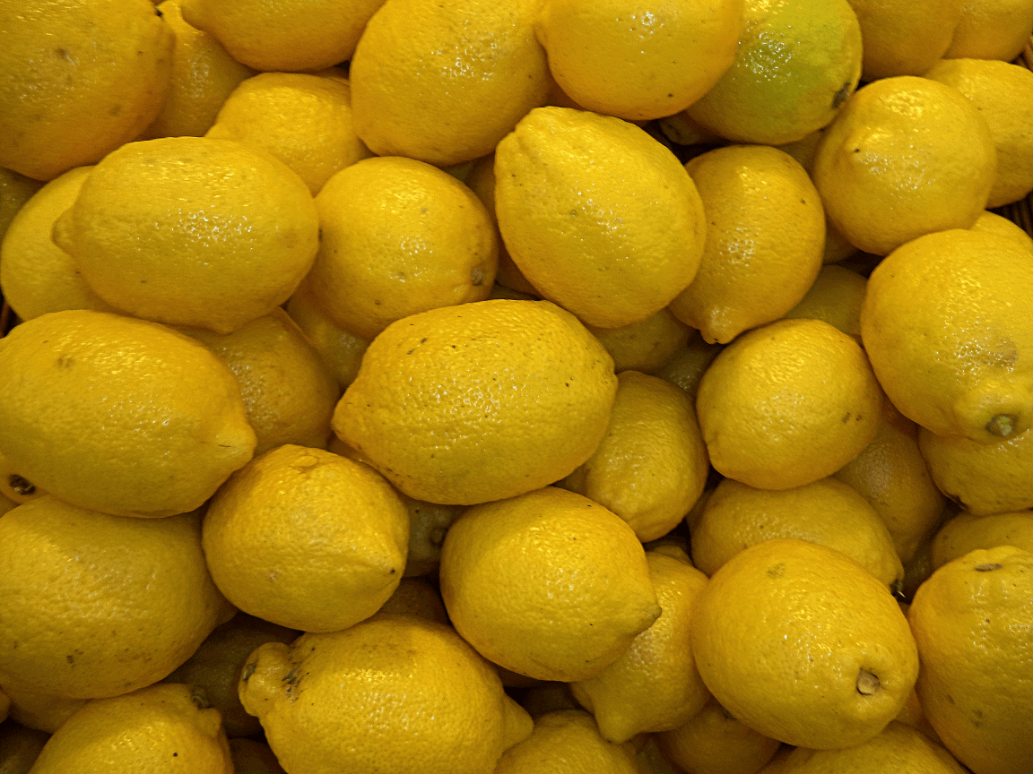 Проблемы с листьями лимона: болезни, вредители и неправильный уход