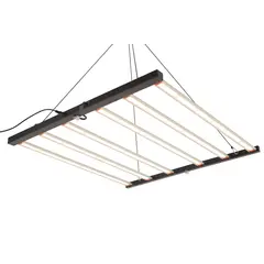 Quantum Board 800W LINE
