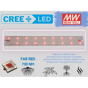Booster CREE 730NM FAR RED - 27Watt