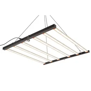 Quantum Board 800W LINE