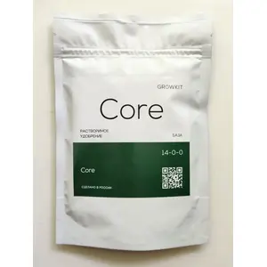 Core