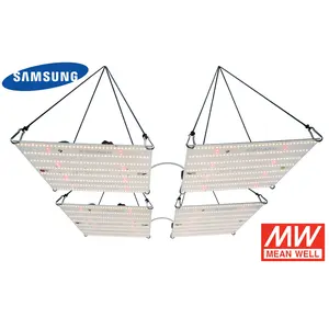 X-Board EXCLUSIVE - 480 Watt SAMSUNG