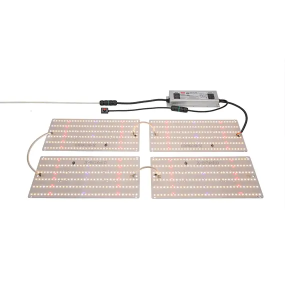 Quantum Board 240 W- ракурс 3