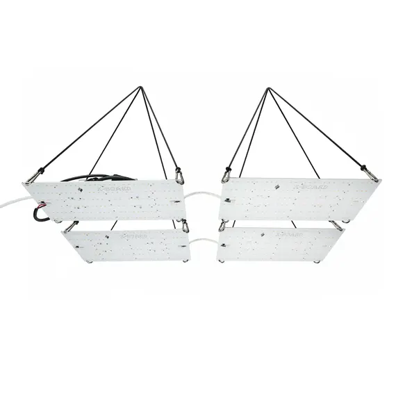 Quantum Board 240 W- ракурс 2